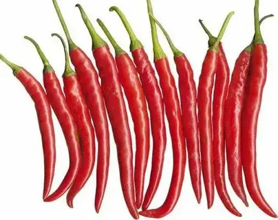 Capsaicin Powder Capsaicin Powder