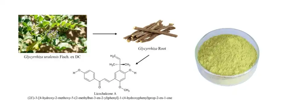 Licochalcone A Powder Licochalcone A Powder
