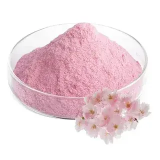sakura powder sakura powder