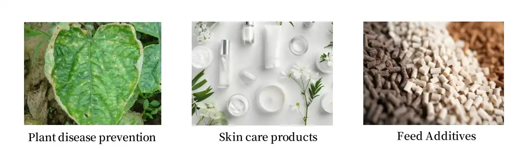 Chitosan Oligosaccharide Powder Chitosan Oligosaccharide Powder