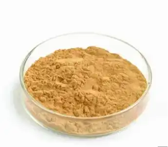 Pure Lotus Leaf Extract Pure Lotus Leaf Extract