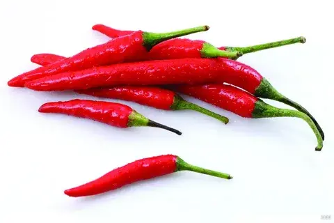 Capsaicin Powder Capsaicin Powder