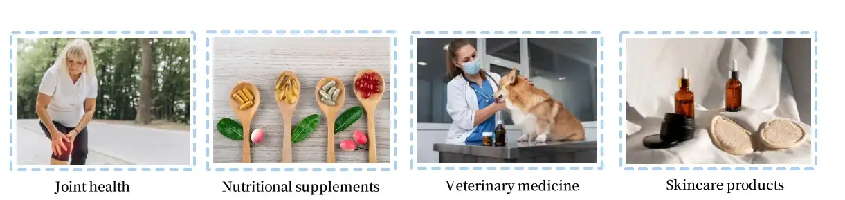 application of chondroitin sulfate powder application of chondroitin sulfate powder