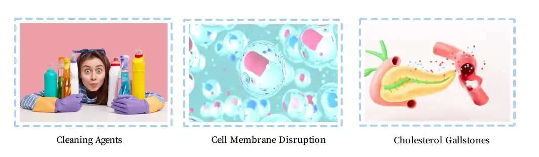 application application