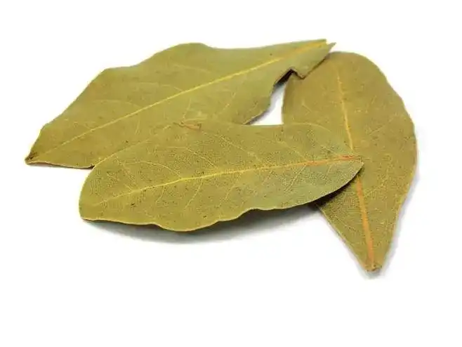 ursolic acid powder ursolic acid powder