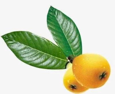 Ursolic Acid Powder Ursolic Acid Powder