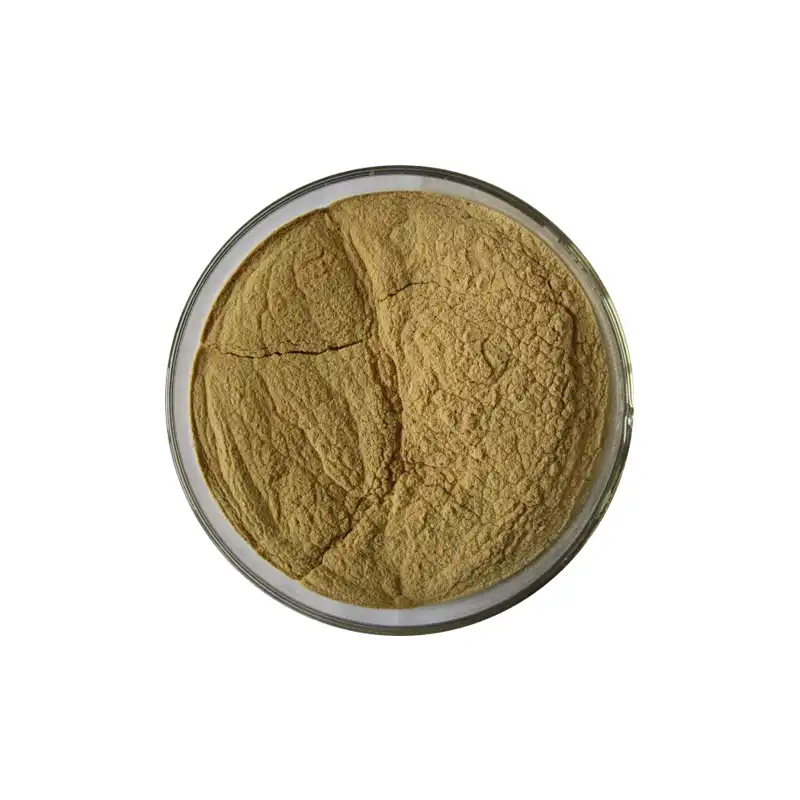 Peppermint Extract Powder Peppermint Extract Powder