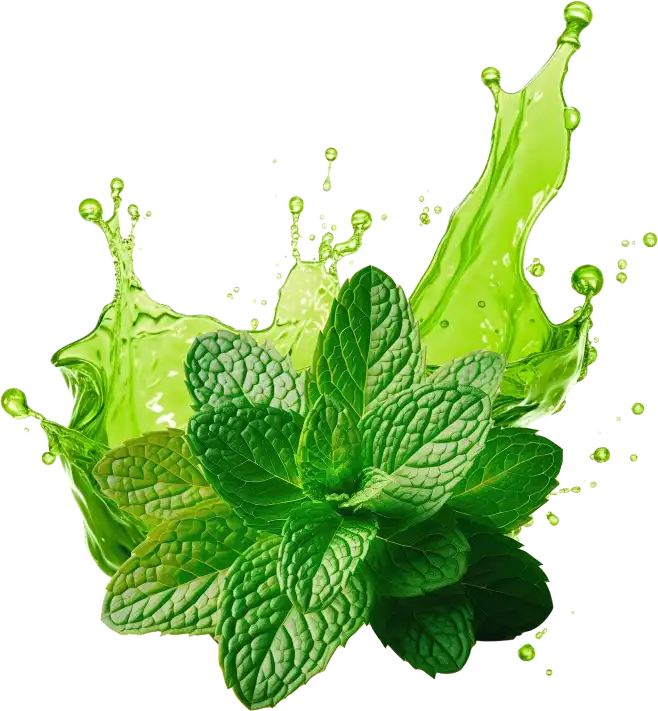 Peppermint Extract Powder Peppermint Extract Powder