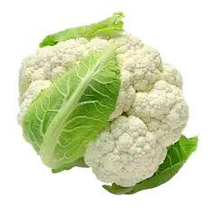 Cauliflower Powder Cauliflower Powder