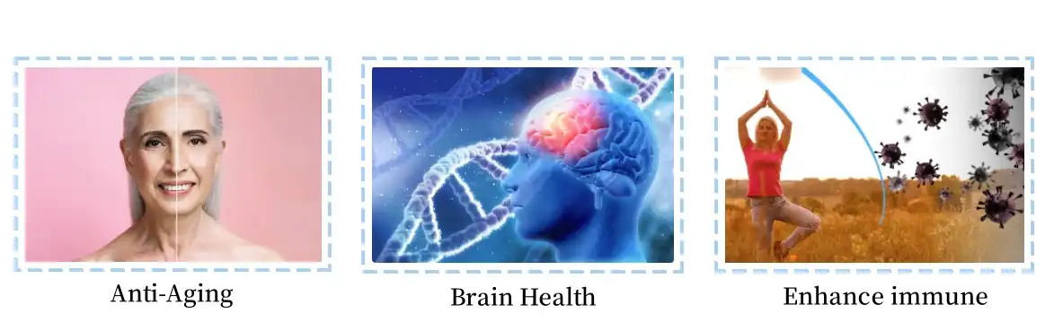 Zinc l Carnosine Powder Function Zinc l Carnosine Powder Function