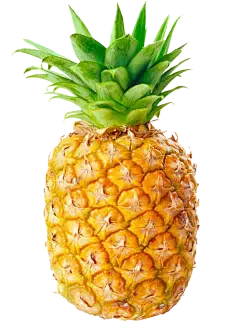 bromelain powder bulk bromelain powder bulk