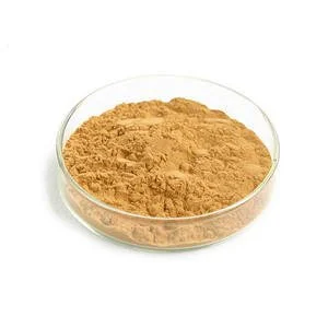 Ginkgo Biloba Extract Powder Ginkgo Biloba Extract Powder