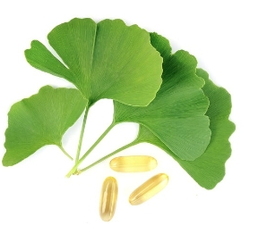Ginkgo Biloba Extract Powder Ginkgo Biloba Extract Powder