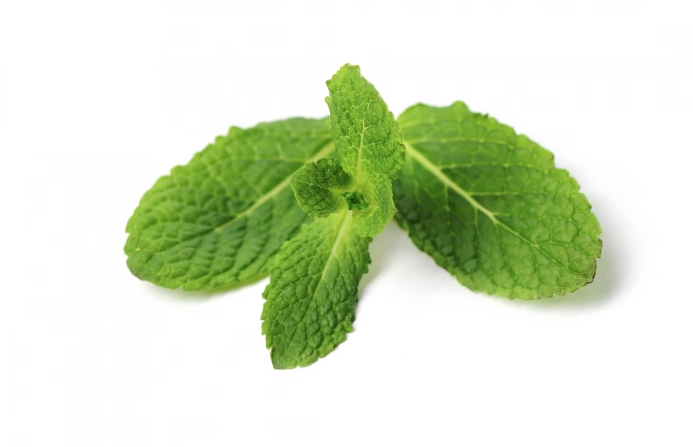 Peppermint powder Peppermint powder