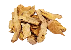 Polygonum Cuspidatum Polygonum Cuspidatum