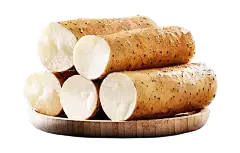 Wild Yam Extract Powder Wild Yam Extract Powder