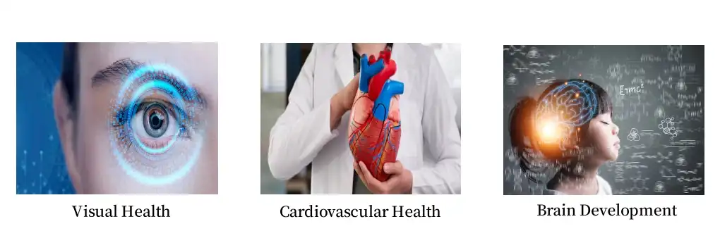 dha powder dha powder