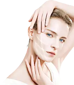 Rosmarinic Acid Powder for Skin Health and Beauty Rosmarinic Acid Powder for Skin Health and Beauty