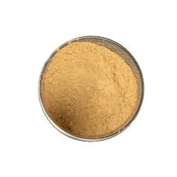 Rehmannia Extract Rehmannia Extract