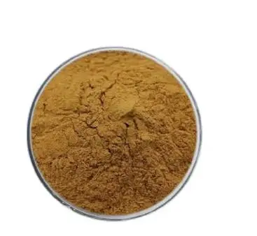 Rehmannia Extract Rehmannia Extract