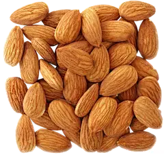 Almond Protein Powder Almond Protein Powder