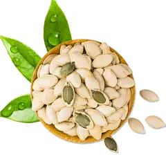 Pumpkin Seed Protein Powder Pumpkin Seed Protein Powder