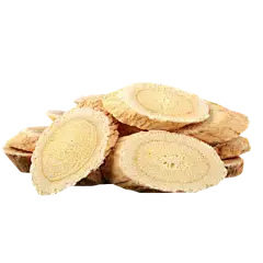 Astragalus Root Astragalus Root