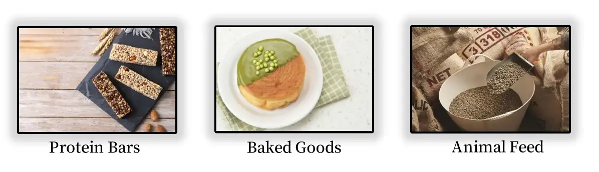 Applications of organic pea protein powder Applications of organic pea protein powder