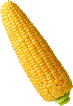 Corn Oligopeptides Peptide Corn Oligopeptides Peptide
