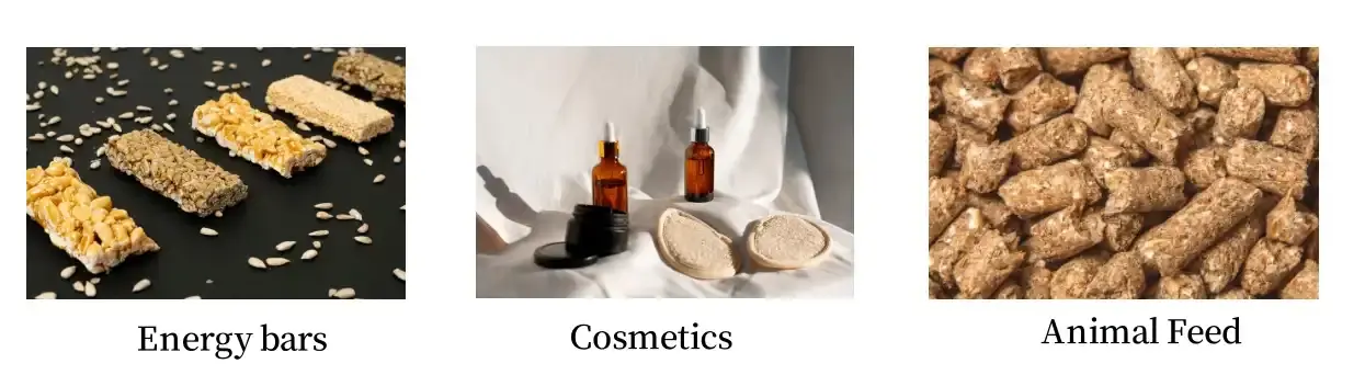 Sunflower Seed Protein Sunflower Seed Protein