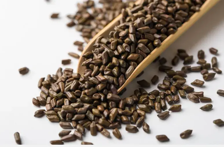 cassia seed extract cassia seed extract