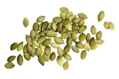 Organic Pumpkin Seed Protein  Organic Pumpkin Seed Protein