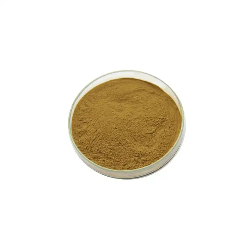 Olive Leaf Extract Powder Olive Leaf Extract Powder