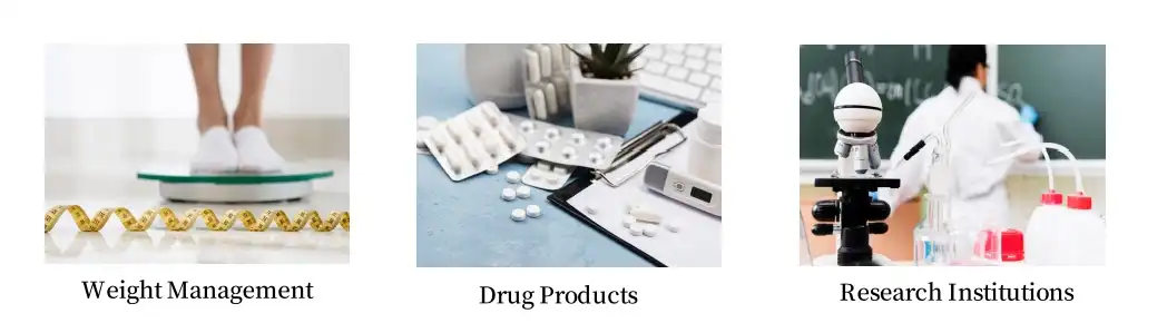 Application of Semaglutide Bulk Powder Application of Semaglutide Bulk Powder