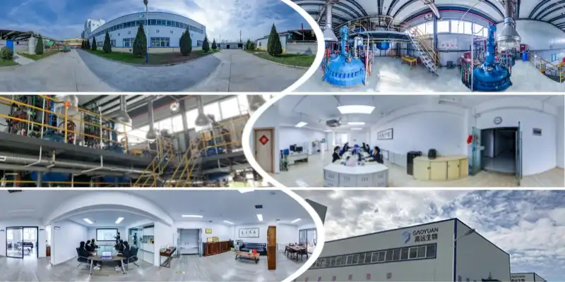 Tranexamic Acid Powder Factory Tranexamic Acid Powder Factory