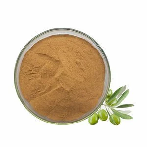 Olive Leaf Extract Powder Olive Leaf Extract Powder