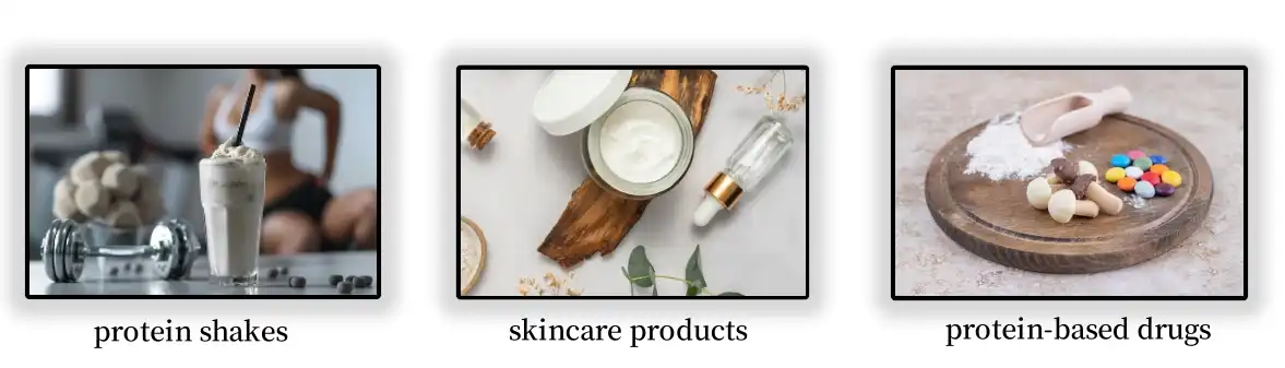 an whey protein application an whey protein application