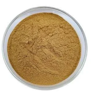 Chrysanthemum Extract Powder Chrysanthemum Extract Powder
