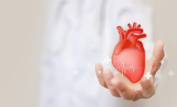 Heart Health Heart Health