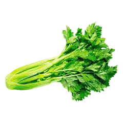 apigenin powder apigenin powder