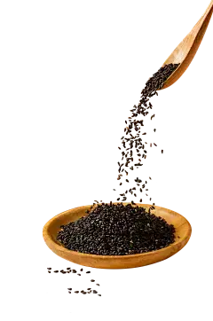 Chia Seed Protein Chia Seed Protein