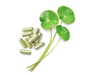 Gotu Kola Supplement Gotu Kola Supplement