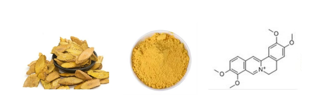 Fibraurea Recisa Pierre Extract Fibraurea Recisa Pierre Extract