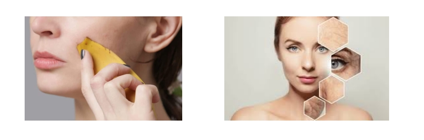 Fibraurea Recisa Pierre Extract Fibraurea Recisa Pierre Extract