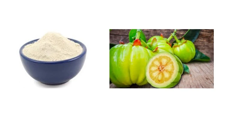 Garcinia Cambogia Extract Powder Garcinia Cambogia Extract Powder