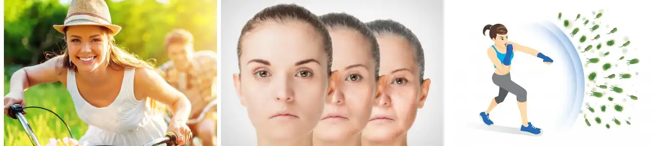 Shilajit Extract Powder Shilajit Extract Powder