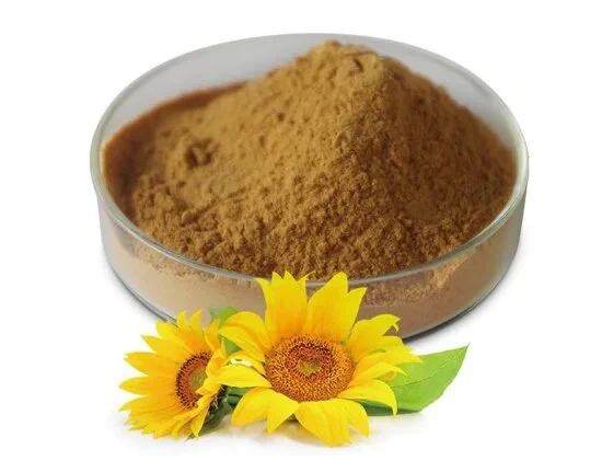 Sunflower Extract Sunflower Extract