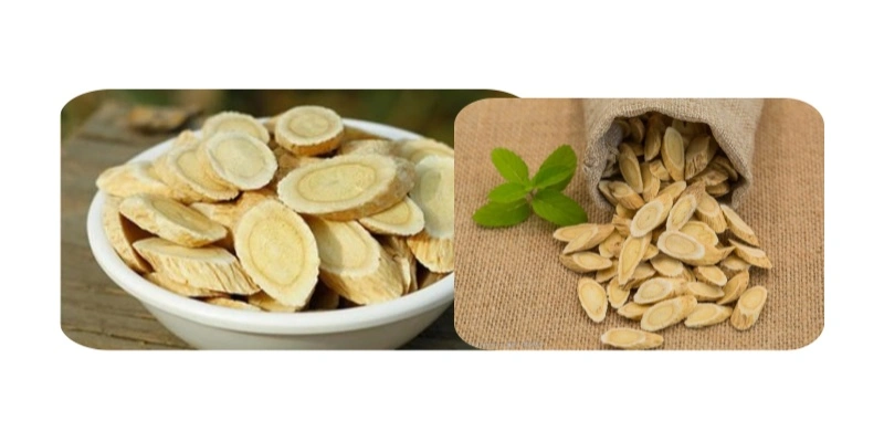 Astragalus Root Extract Powder Astragalus Root Extract Powder