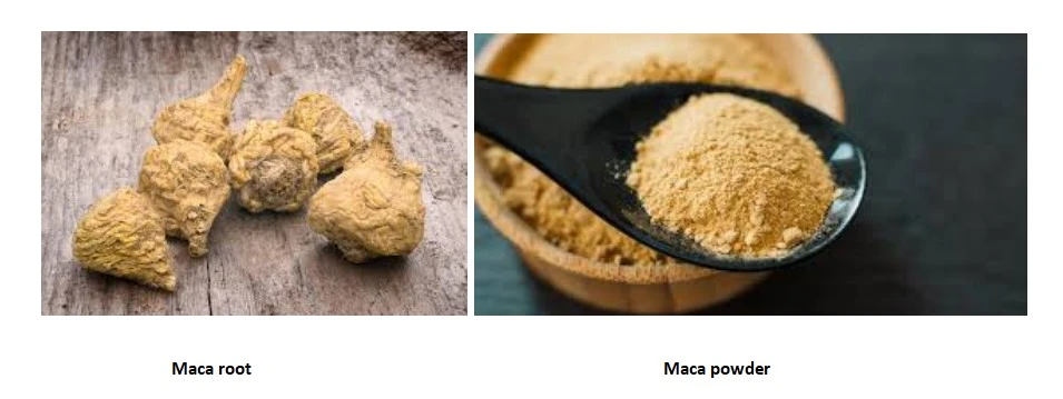 maca extract 