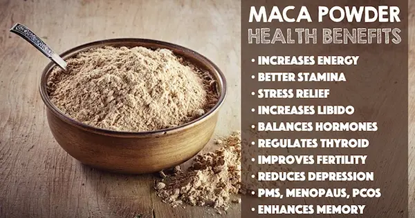 maca extract function